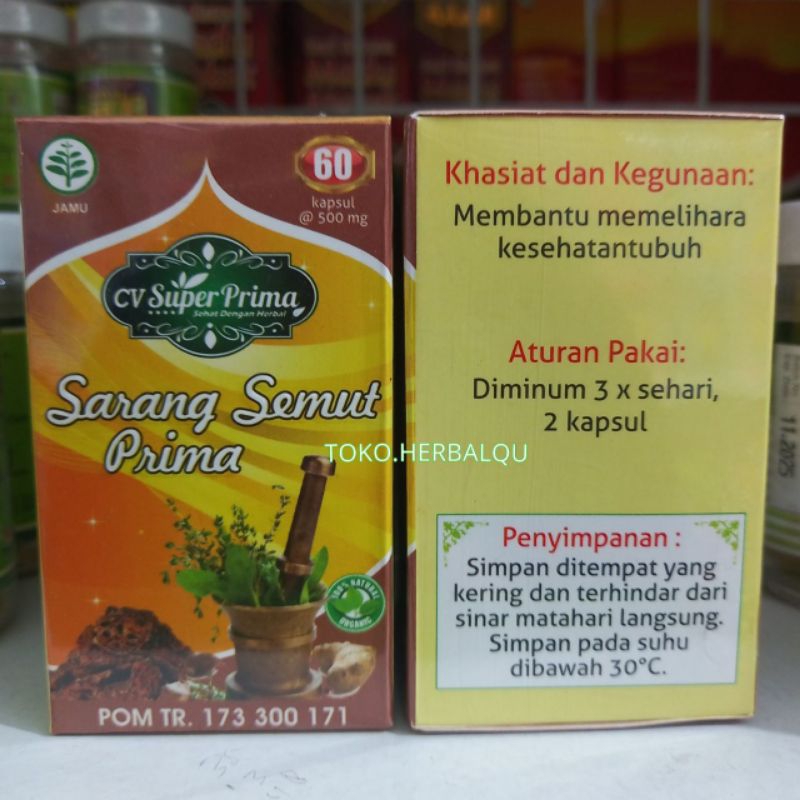 

SARANG SEMUT PRIMA SARMUT KAPSUL