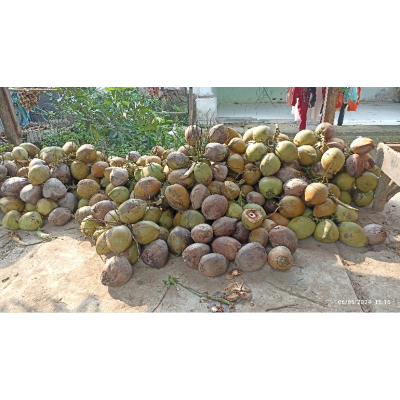 

Kelapa Tua Non Kupas Serabut