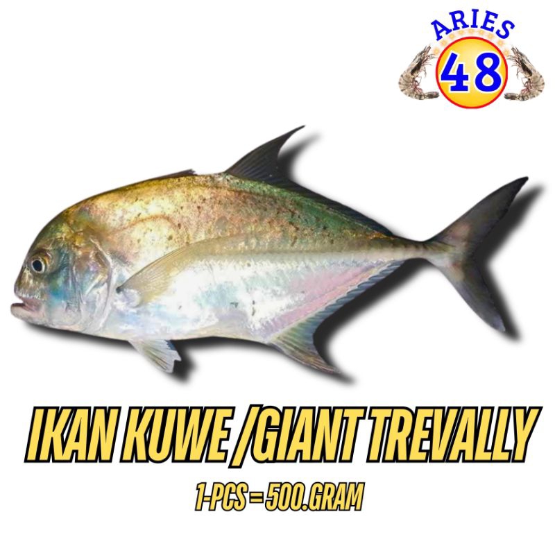

Ikan Kuwe Fresh 500.gram
