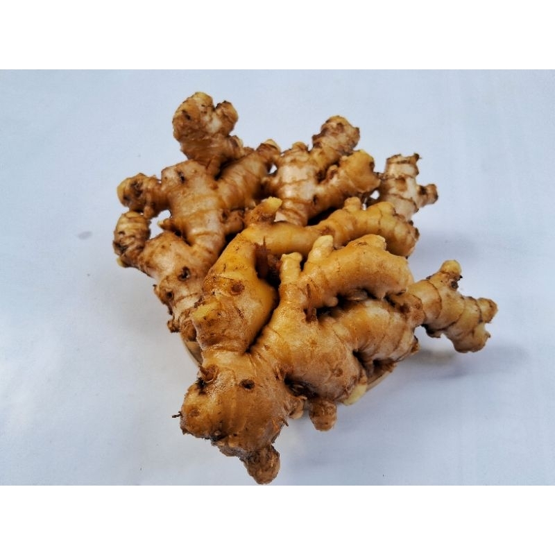 

Jahe emprit segar dan bersih 500gram