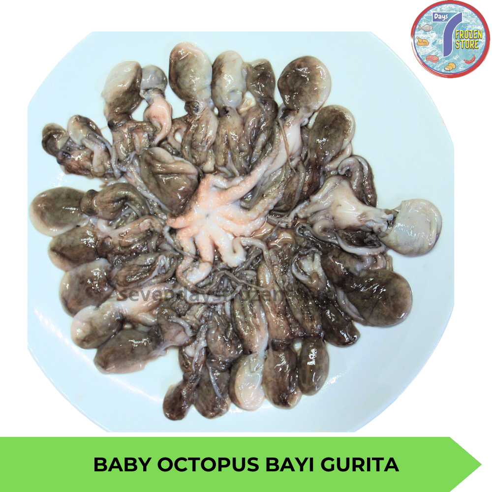 

Baby Octopus | Bayi Gurita Beku Frozen 400 Gr