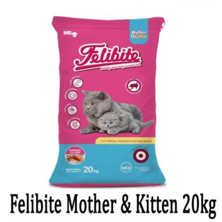 Felibite Mother & Kitten 20Kg