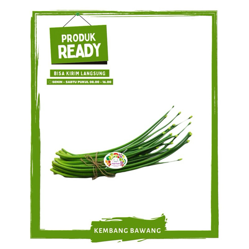 

Kembang Bawang / Sayur Sayuran Segar Ready On Mallahrizwa
