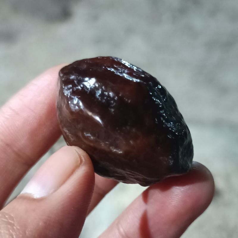 muncang adu jayanti ori garut jawa yanti nyonyo jalim 4g