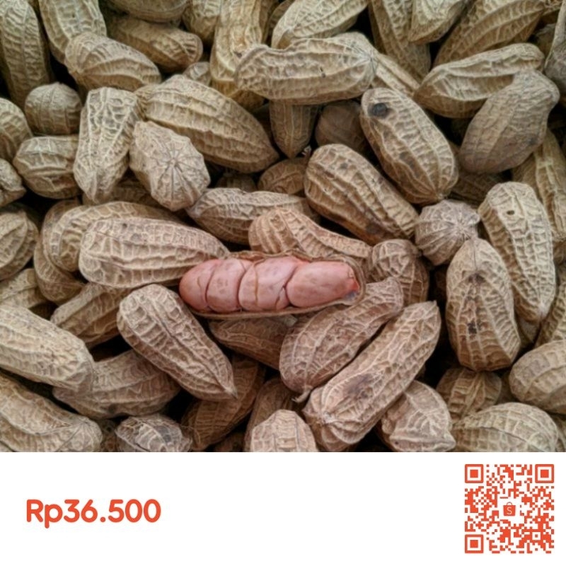 

kacang goreng kemasan 1 kg
