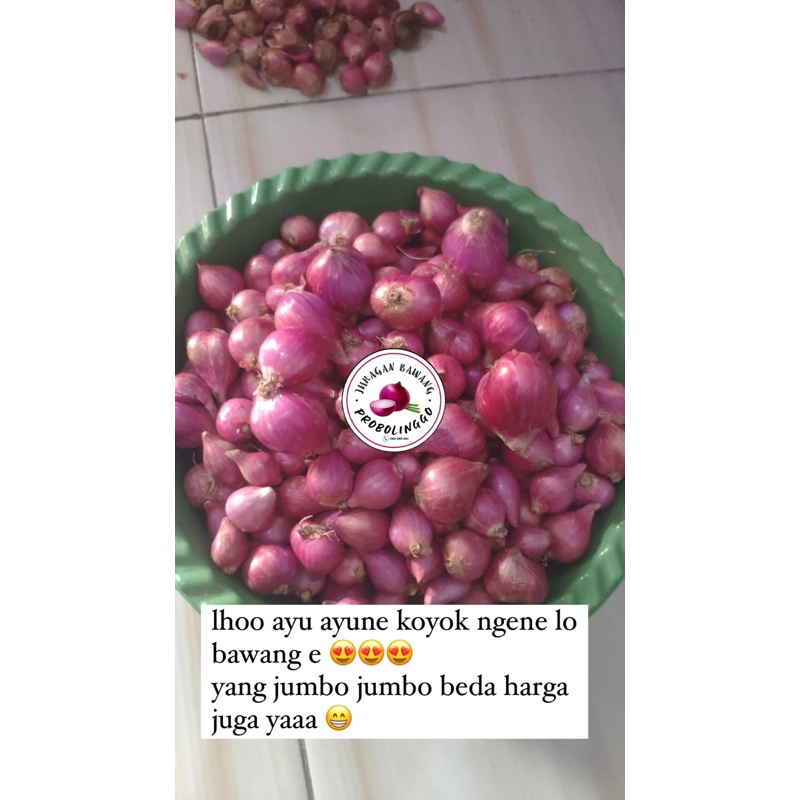 

(GROSIR) Bawang Merah Probolinggo 5kg