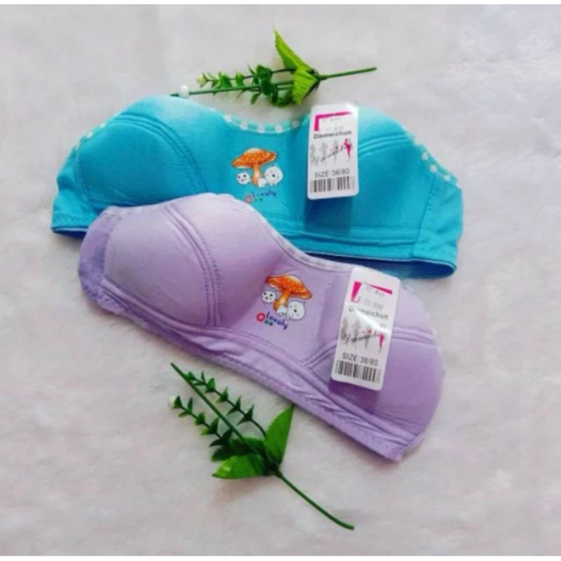 ADINDA~ BH ABG WARNA ~ BH ANAK ABG JAMUR ~ BH Anak Pelajar /Bra anak perempuan