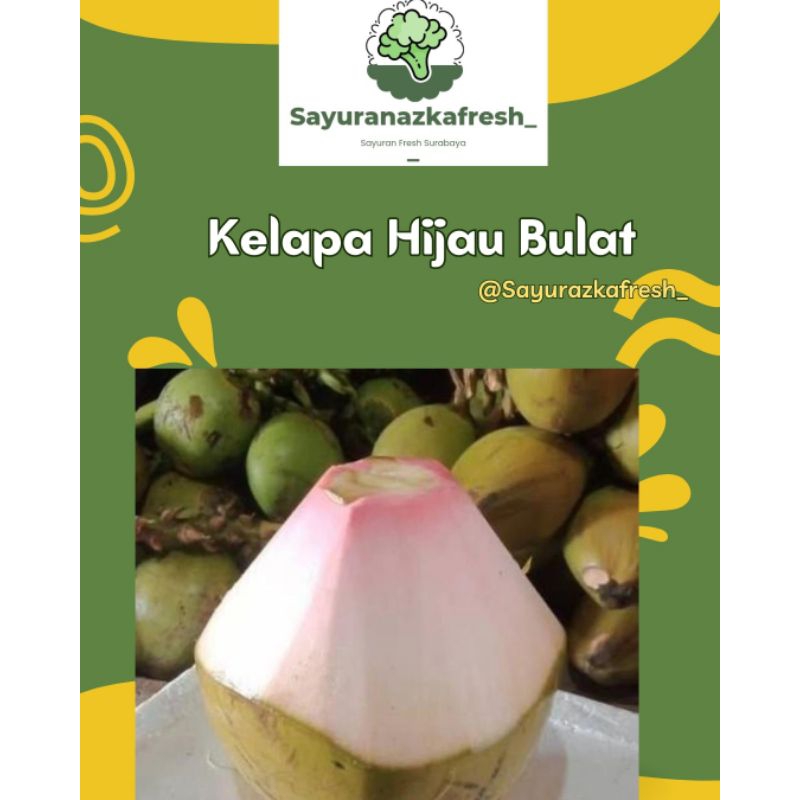 

Kelapa Hijau Bulat [1buah]