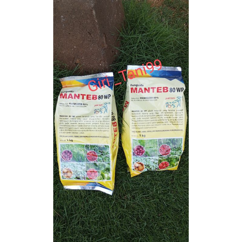 FUNGISIDA MANTEB 80 WP MERK PAK TANI, MANKOZEB 80%
