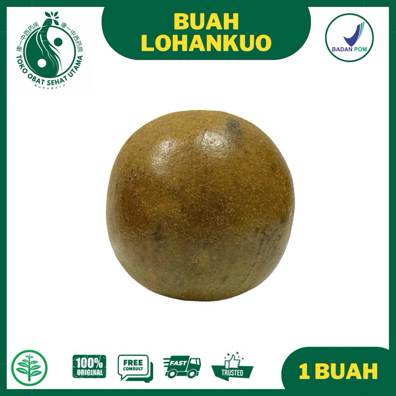 

Buah Lohankuo (ECERAN 1 BUAH) / Meredakan Panas Dalam, Nyeri Tenggorokan, Batuk / Lo Han Kuo Lohanko luo han ko