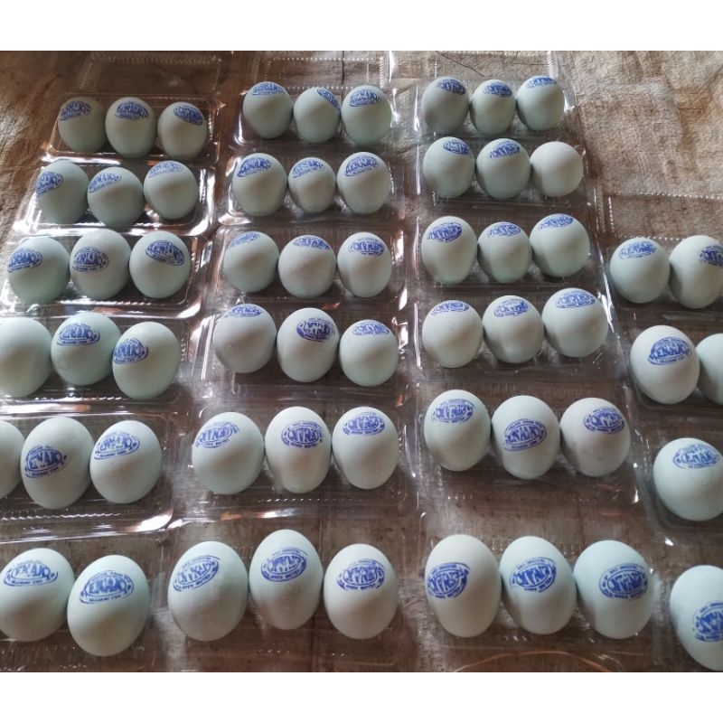 

telur asin
