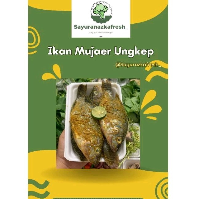 

ikan Mujaer Ungkep [±2ekor besar]