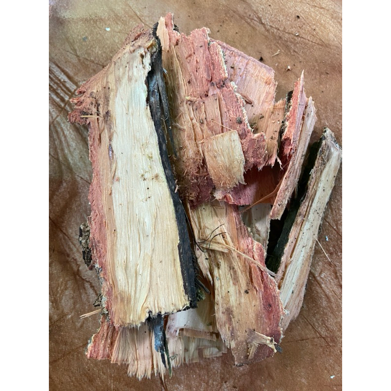 

Kulit pohon salam / kulit daun salam segar 1 kg-az