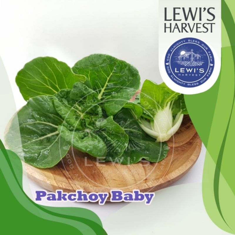 

PAK CHOI BABY / NAIBAI 200 gram