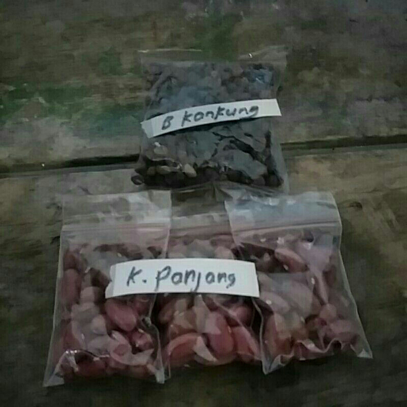 

kacang panjag&kagkung