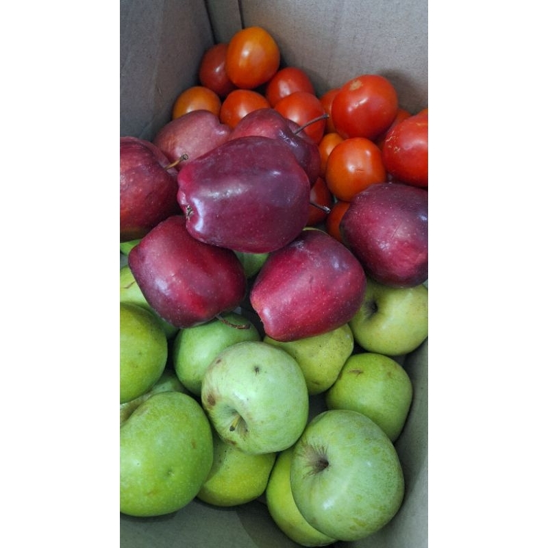 

apel merah organik 1kg fresh buat diet