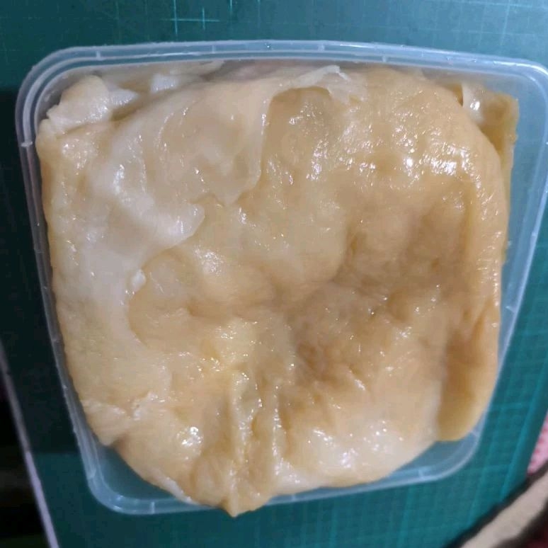 

ubur-ubur (jelly fish) bagian badan 1 pack