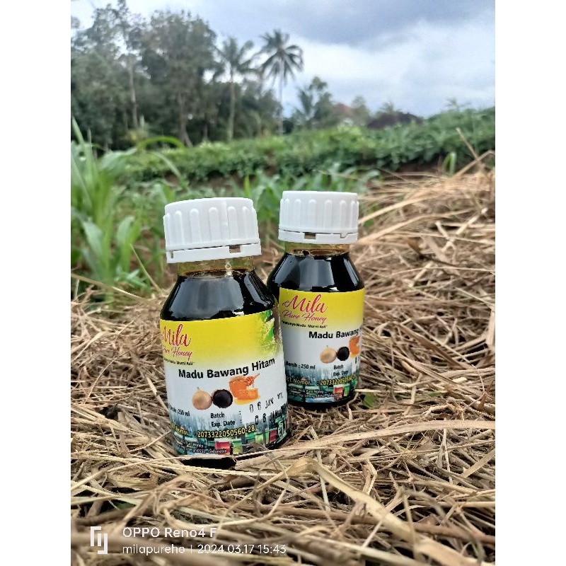 

Milapurehoney-Madu Bawang Hitam-Black Garlic Honey-Madu Kuat 250 ml