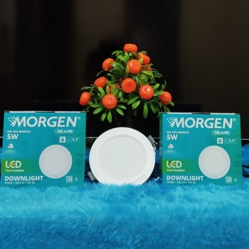 Lampu LED Downlight 5 watt Morgen/ Lampu plafon 5 watt Morgen