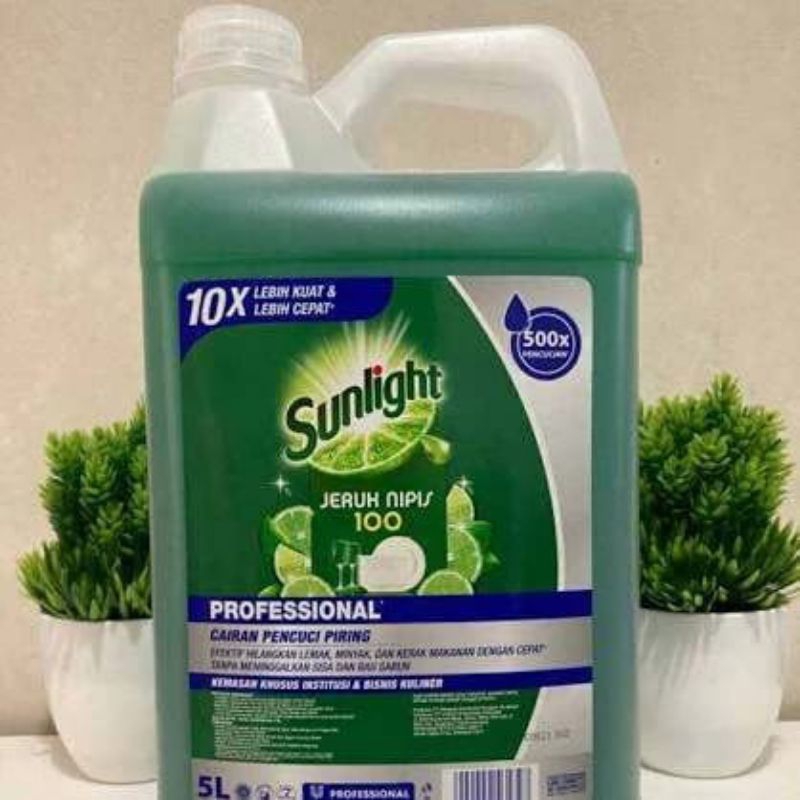 Sunlight 5 Liter Original Termurah