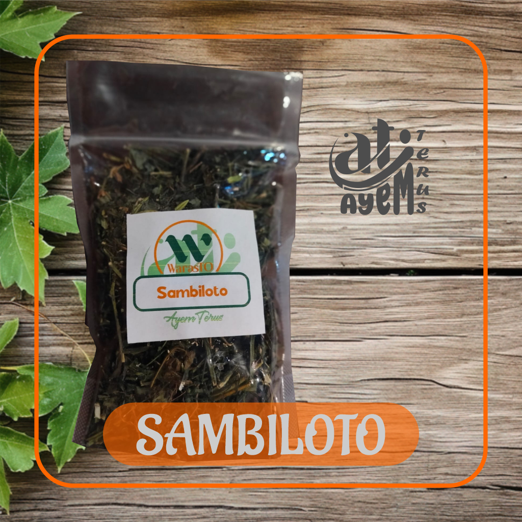 

Sambiloto Kering Berkhasiat