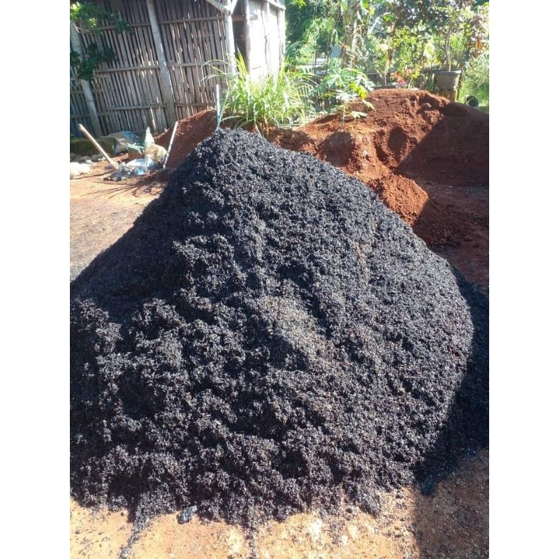 sekam bakar media tanam arang sekam 1kg.