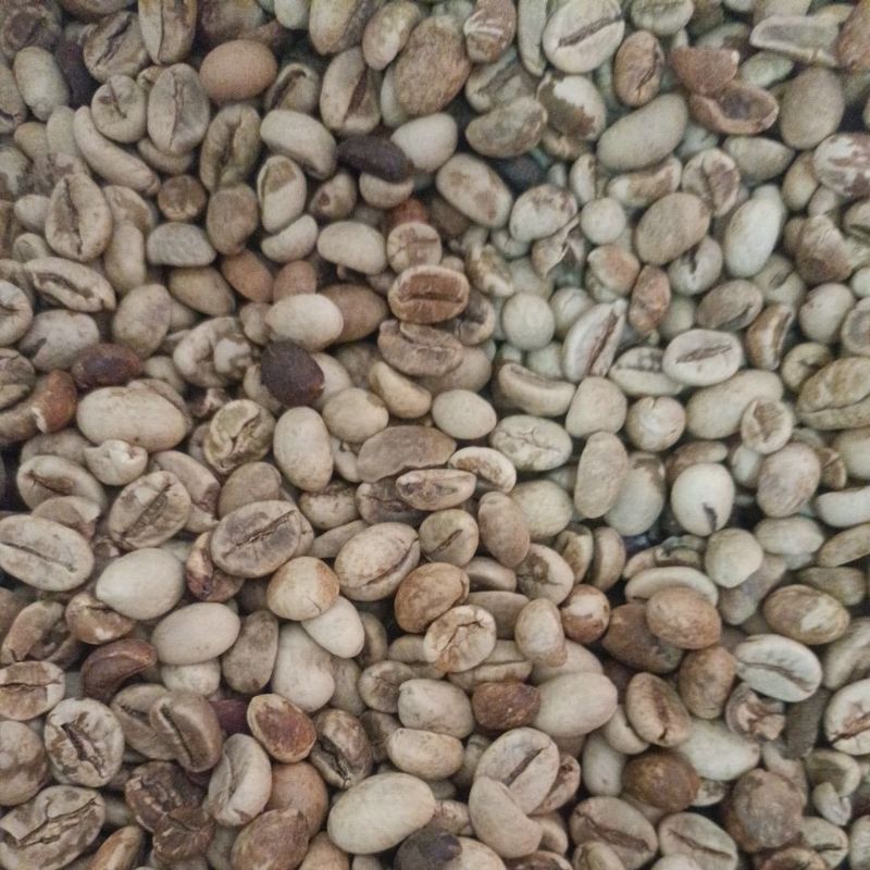 Biji Kopi Mentah 1KG