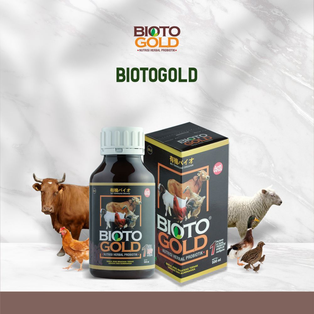 OBAT TERNAK NUTRISI TERNAK VITAMIN TERNAK PROBIOTIK UNTUK SAPI KAMBING BIOTOGOLD