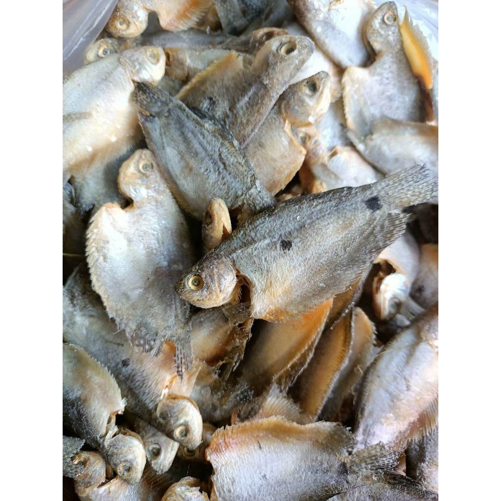 

500 gram Ikan Asin Sepat Kecil/Ikan Asin Palembang/ Ikan Asin Murah