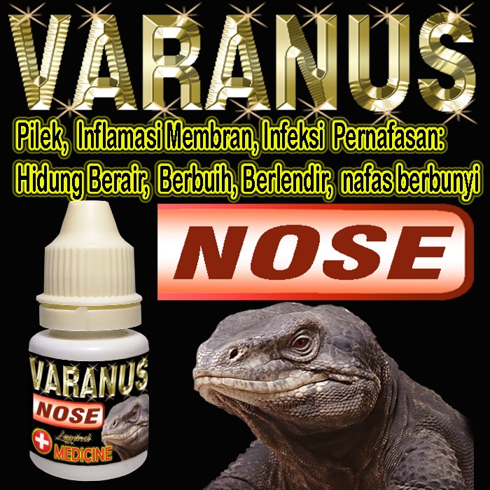 VARANUS NOSE MENGOBATI PENYAKIT INFEKSI PERNAPASAN REPTIL INFLAMASI MEMBRAN OBAT PILEK LIZARD HIDUNG