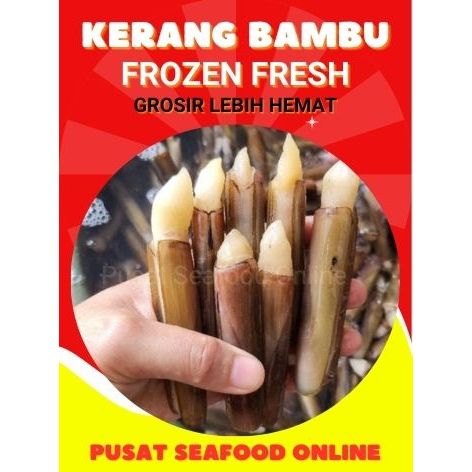 

[GROSIR] Pusat Seafood - Kerang Bambu - Kerang Bambu Frozen Fresh - 1 Plastik
