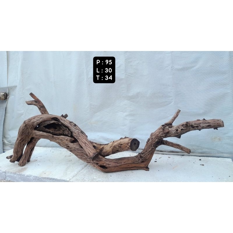 Kayu Aquascape - Kayu Santigi (Besar)