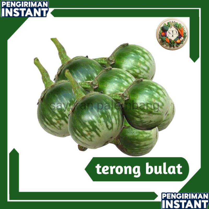 

terong bulat hijau lalapan - sayuran palembang