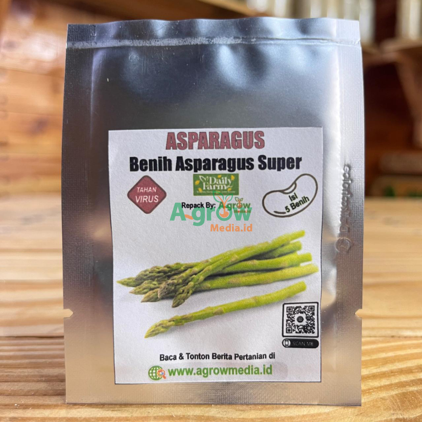 Benih Tanaman ASPARAGUS Isi 5 Butir Bibit Biji Tahan Virus Super Unggul Repack Daily Farm