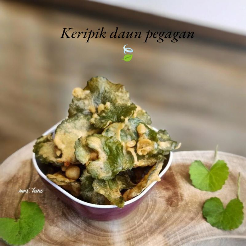 

keripik daun pegangan//keripik daun pegagan bukan sembarang daun