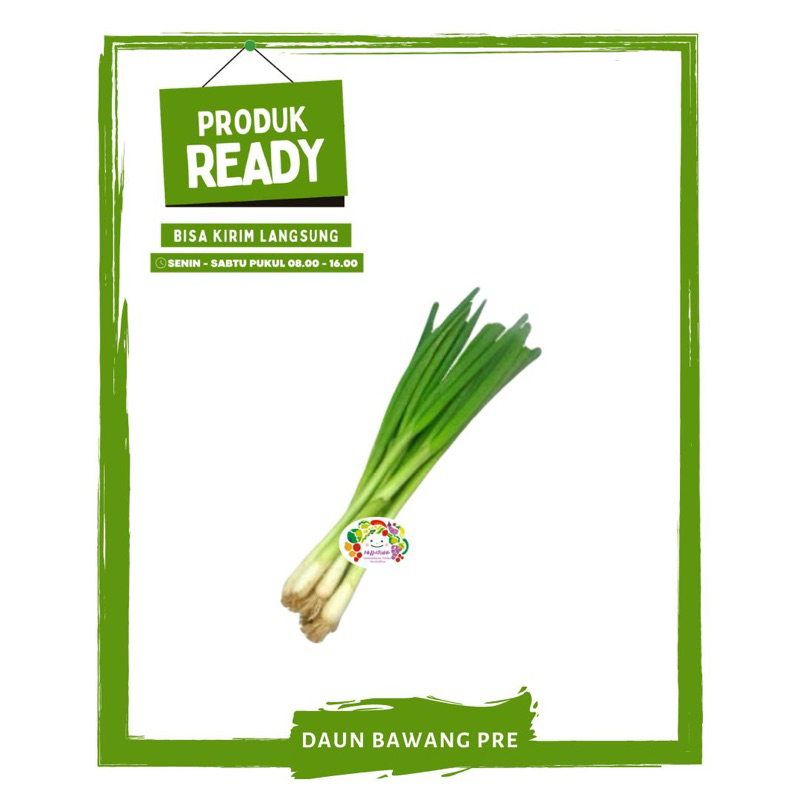 

Daun Bawang Pre / Sayur Sayuran Segar Ready On Mallahrizwa