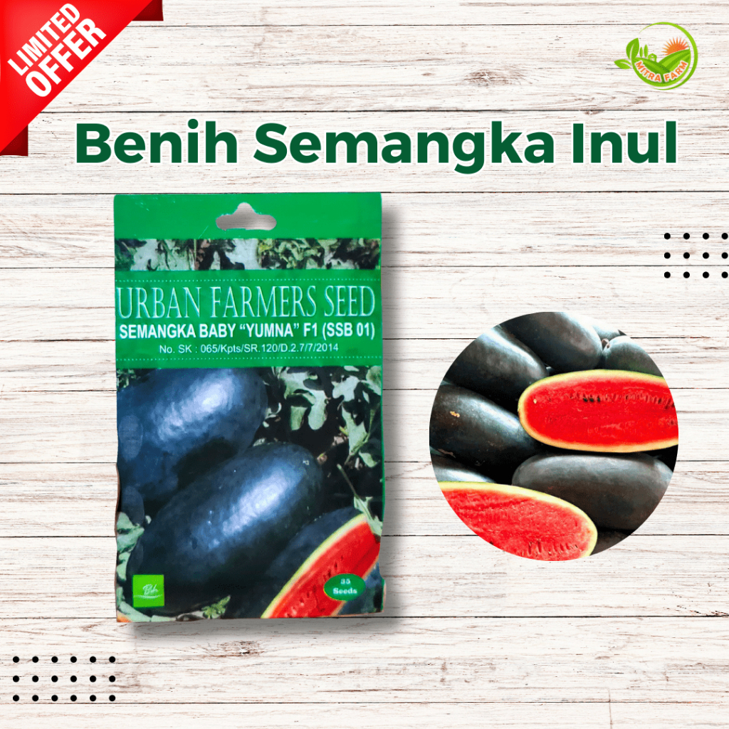 Benih Semangka Inul/Benih Semangka Baby/Benih Murah