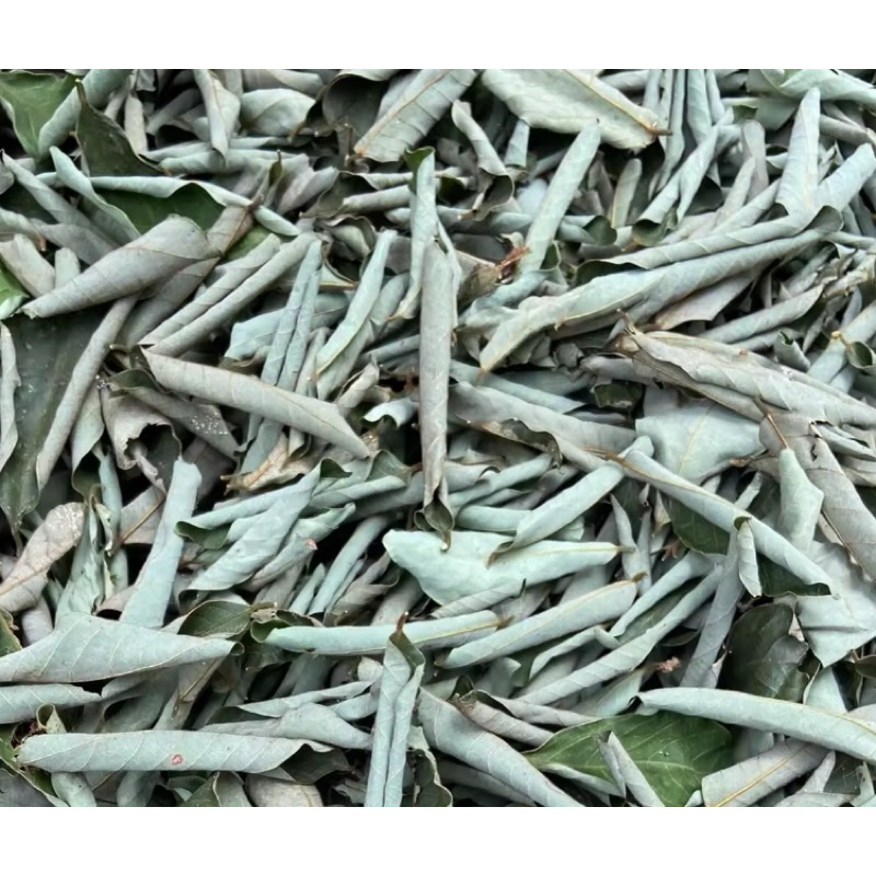 

Daun kandri kering natural alami-az