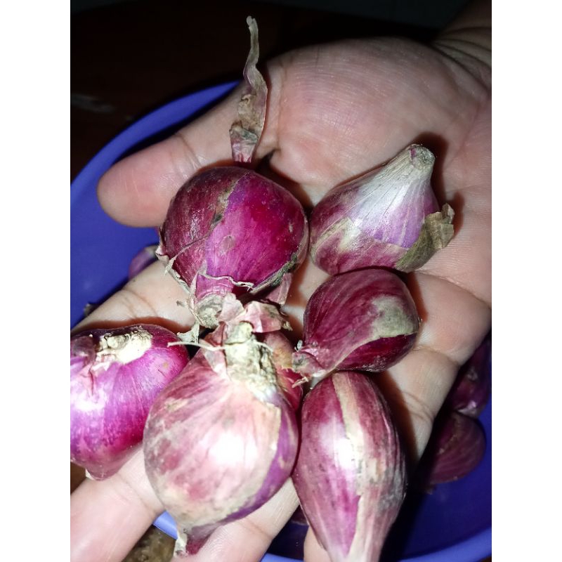 

Bawang merah asli brebes murah 25 rb