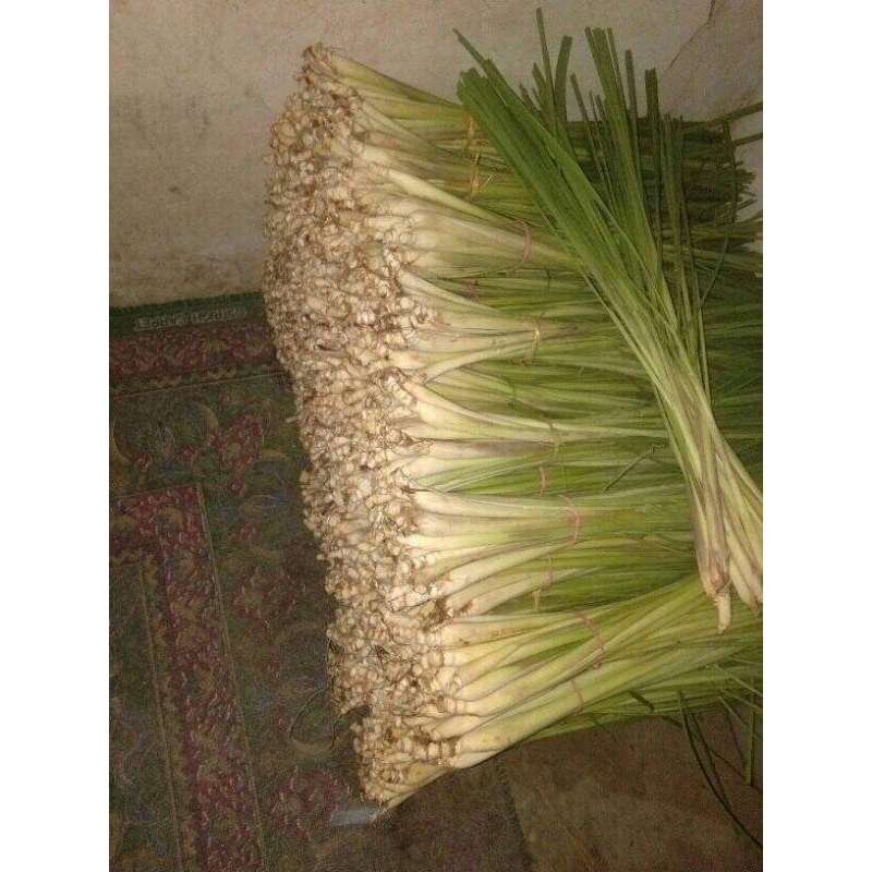 

SEREH BUMBU DAPUR UNTUK PELENGKAP MASAKAN