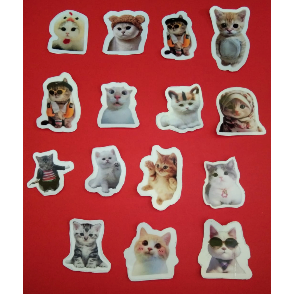 

Stiker Kucing Meme Cute Funny Cats Anti Air Stikers Berperekat Waterproof sticker decal buat Motor Helm Buku Journal Koper Casing HP Laptop