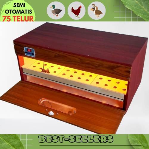 Alat Mesin Penetas Telur Ayam