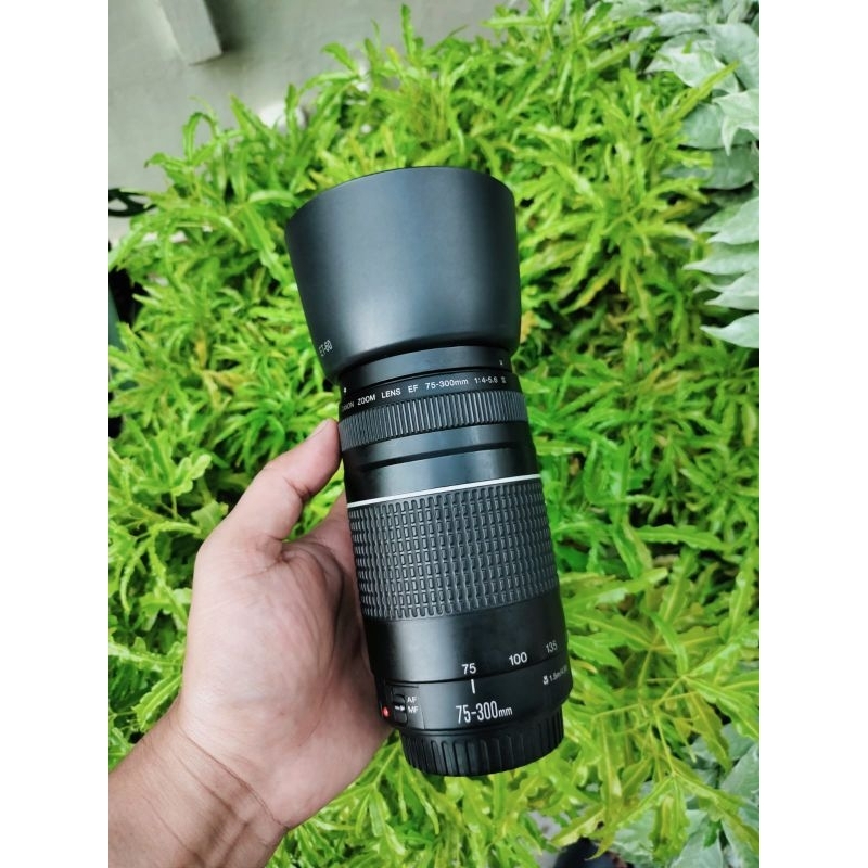 CANON EF 75-300mm F4-5.6 II - Lensa Tele Canon 75-300mm Second