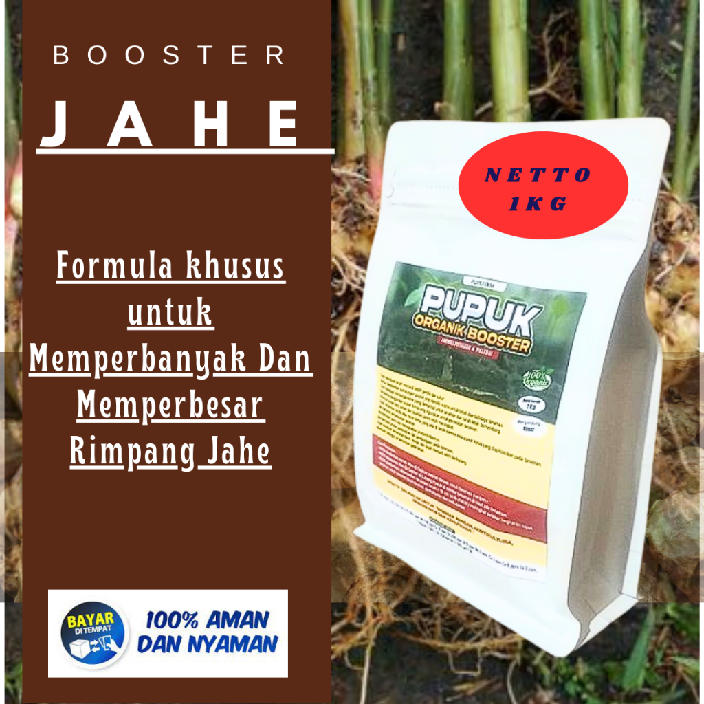 Pupuk Jahe Pupuk Pelebat Rimpang Jahe Pupuk Pembesar Umbi Jahe Pupuk Jahe Merah Jahe Emprit Lokal