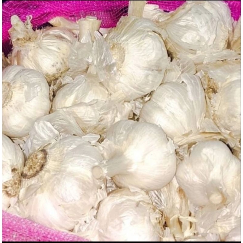 

bawang kating kotor 1 kg