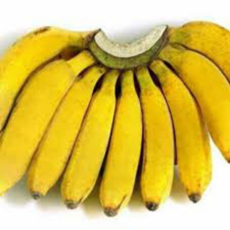 

pisang raja pilihan
