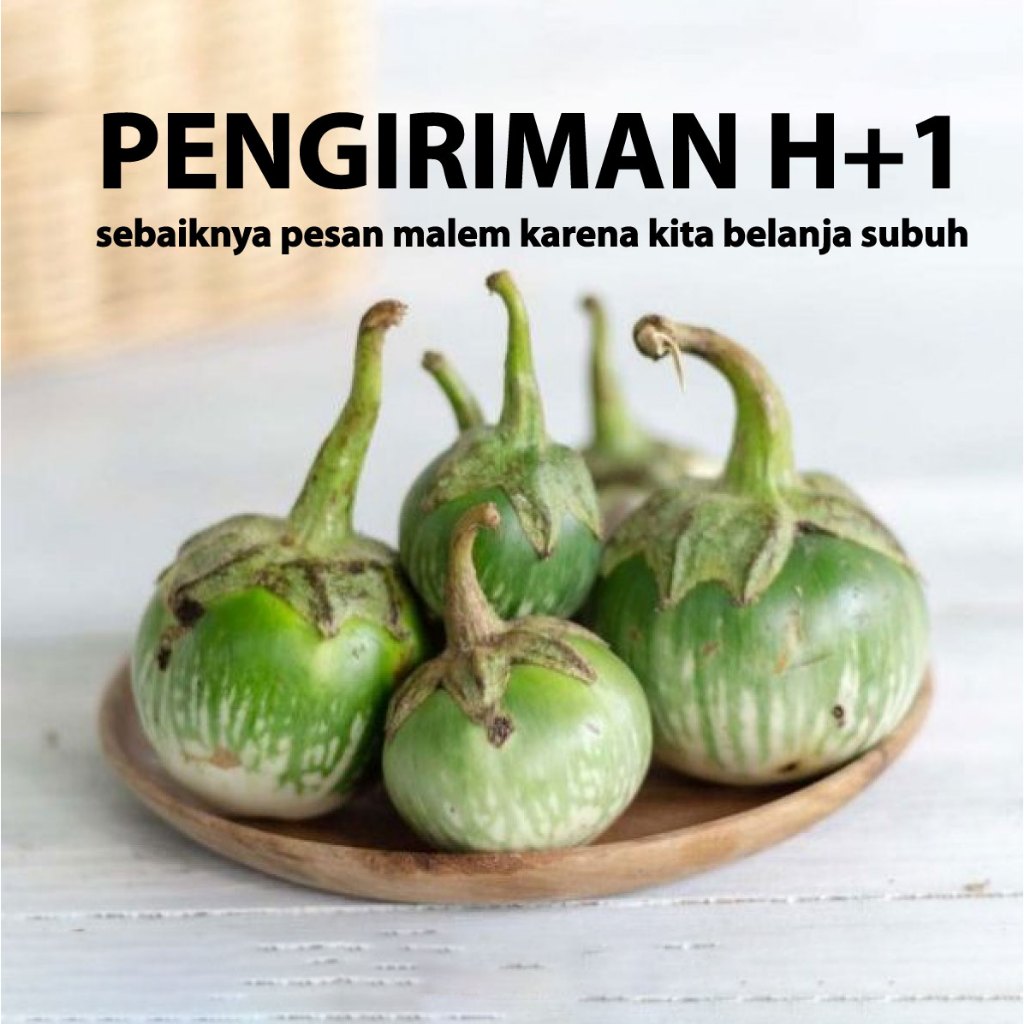 

Terong Bulat Hijau