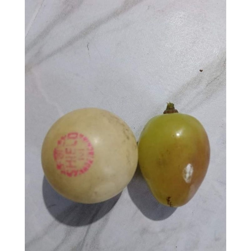 

anggur import big perlet