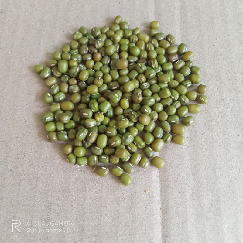 

Kacang Hijau