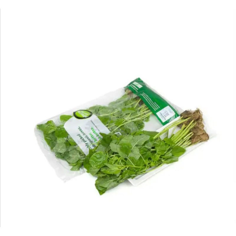 

bayam hidroponik 250gram fresh